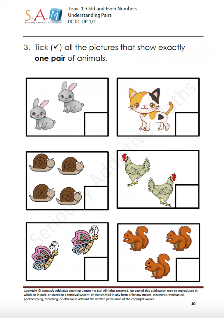 Math Enrichment - Seriously Addictive Mathematics